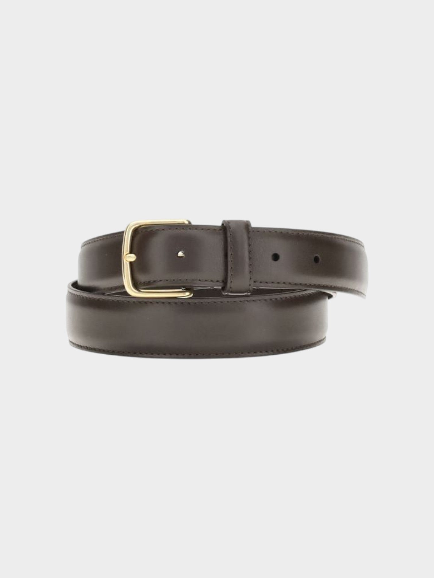 The Row Brown Calf Leather Bos Taurus Regular Belt