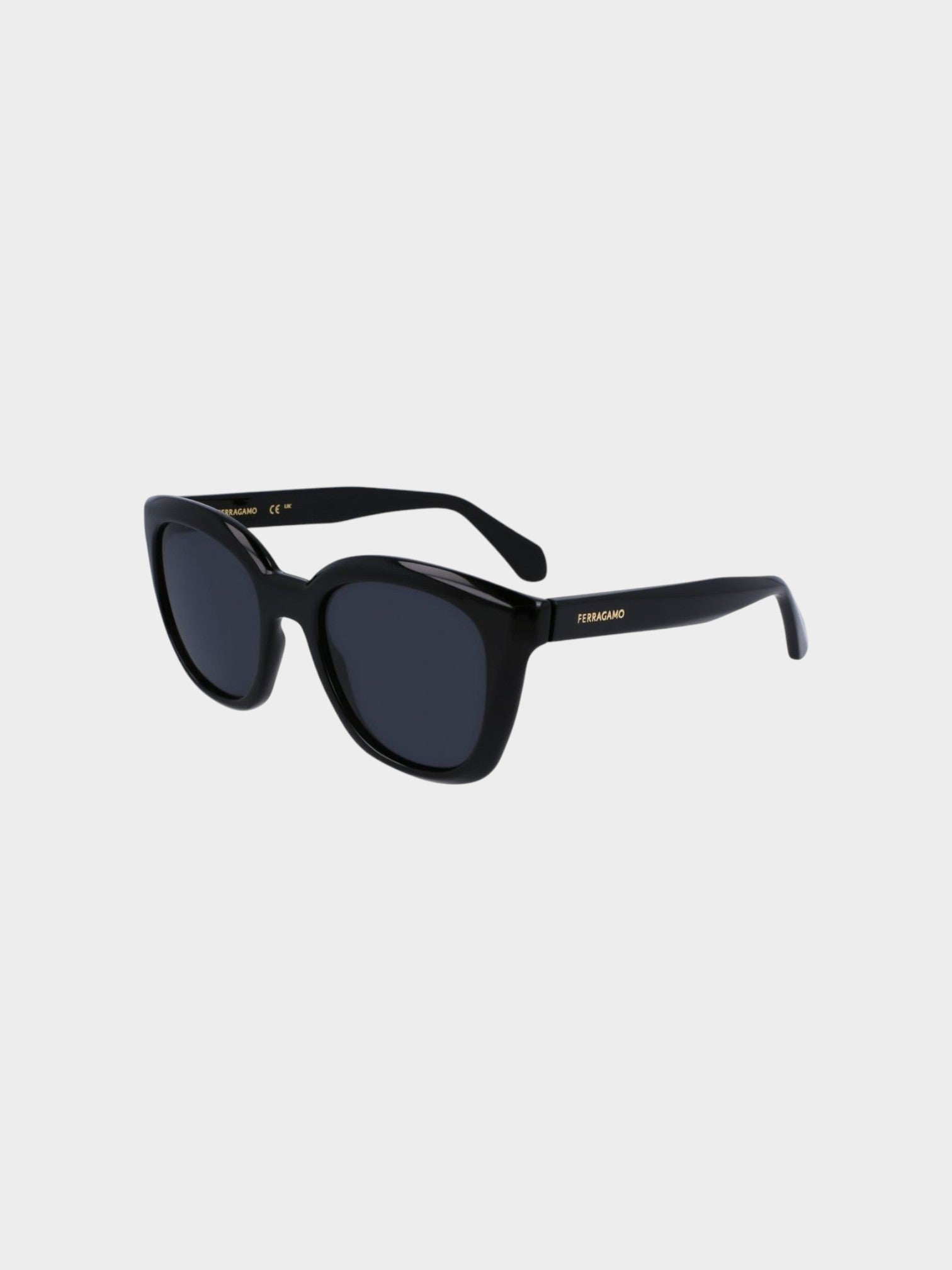 Ferragamo Black Injected Sunglasses