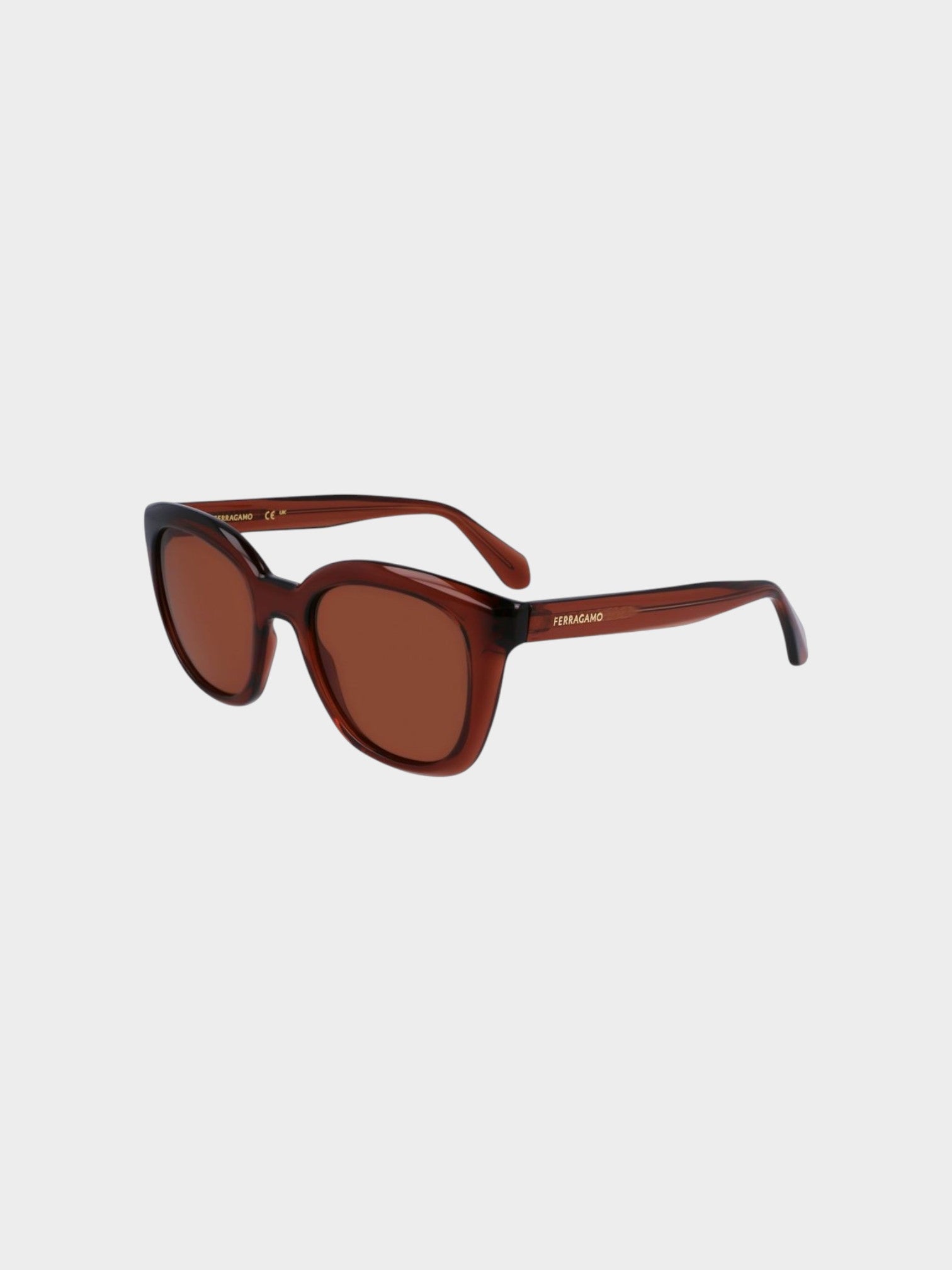 Ferragamo Brown Injected Sunglasses