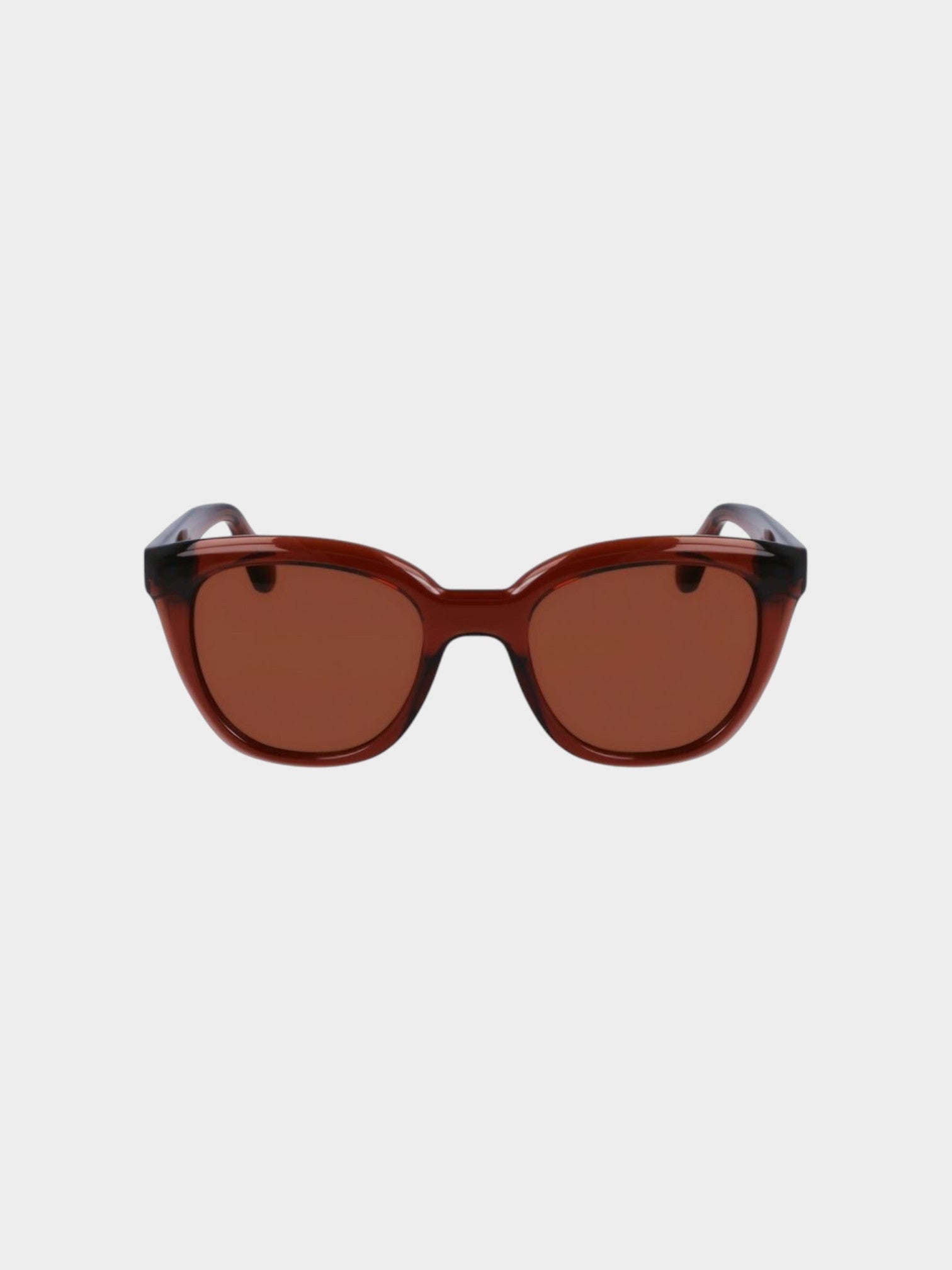 Ferragamo Brown Injected Sunglasses-thumbmail-2