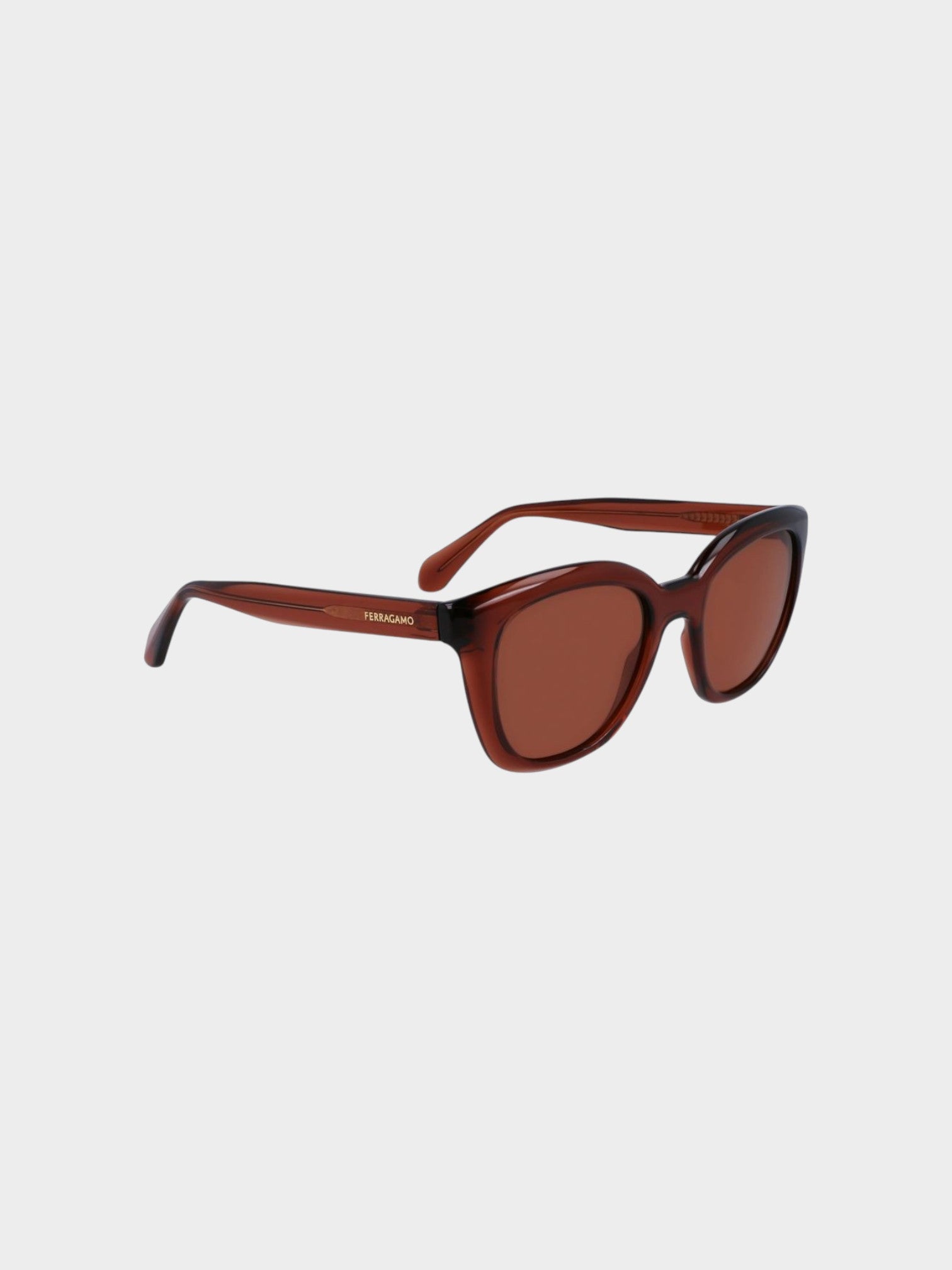 Ferragamo Brown Injected Sunglasses-thumbmail-3